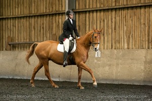 Isis Dressage Crown Farm Show 29th April 2012